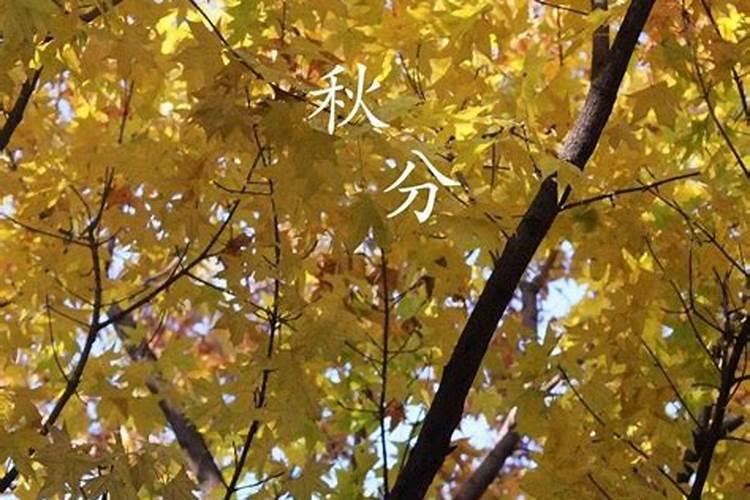 秋分是什么季节 注意穿衣保暖