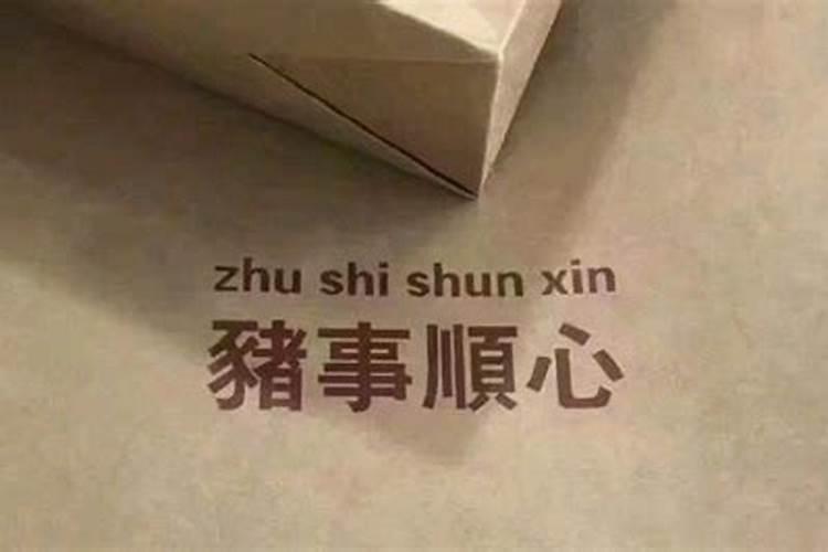 女人梦见黑蛇是吉兆发财的