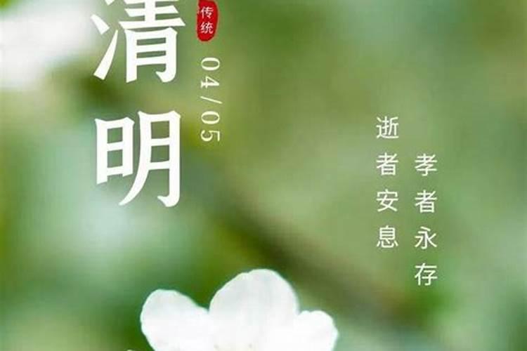 怎么写清明回老家祭祖的简短说说句子