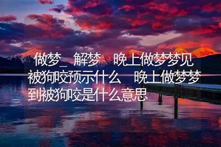 梦见狗咬我是什么预兆