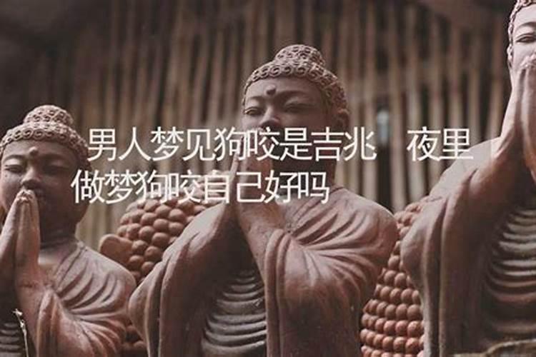 梦见晚上狗咬我的预兆