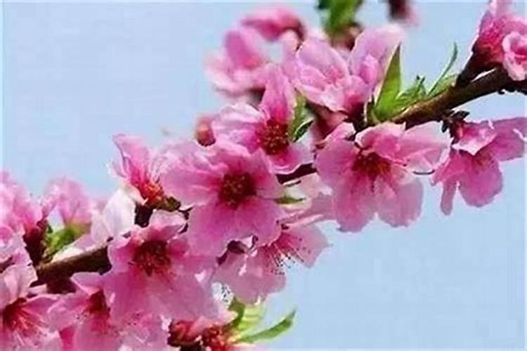 清明节又叫什么节