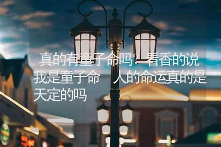 请问农历一九九四年十月初一出生的是什么星座？命好不好？