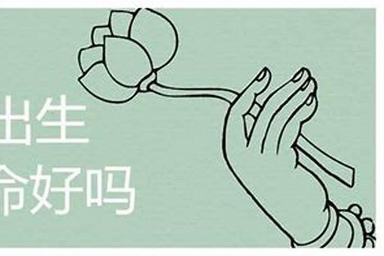 1977年属蛇5月运势,属蛇5月出生的人命运