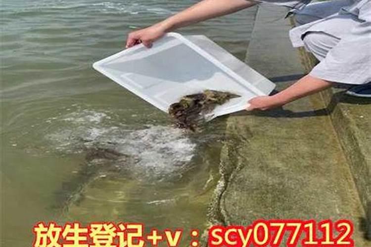 七月15鬼节有什么讲究