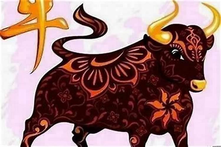 重阳节为什么要插茱萸,重阳节插茱萸的寓意