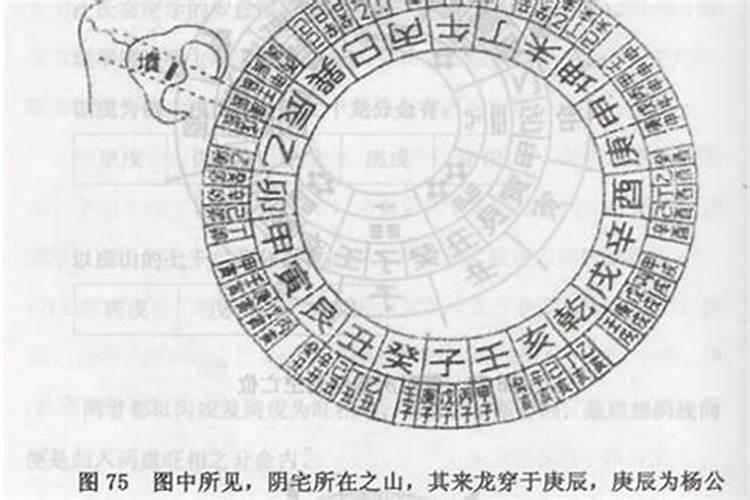2024年12月出生五行属什么,起啥名