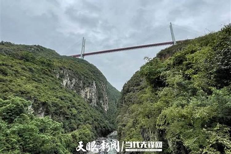 梦见吃虾是什么预兆