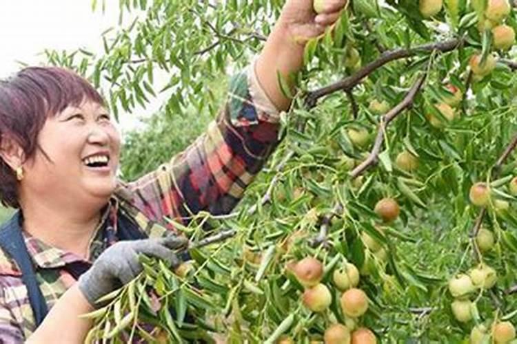怎样为堕胎灵婴超度