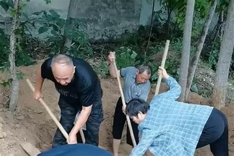 梦见车周公解梦