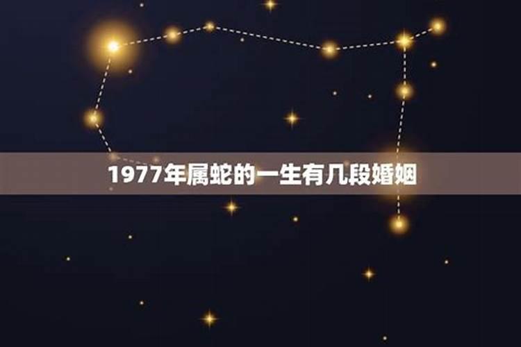 女人梦见蛇皮 但没看见蛇