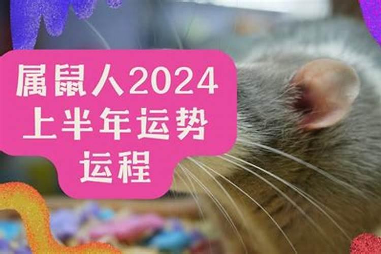 九九重阳节介绍
