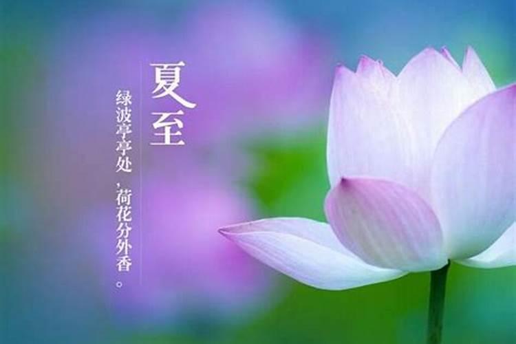2024年夏至是几月几日 夏至习俗