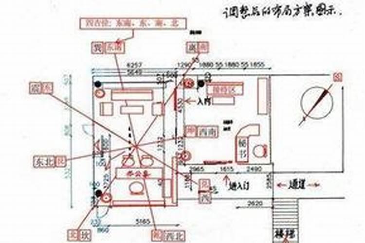 虎跟羊属相合不合