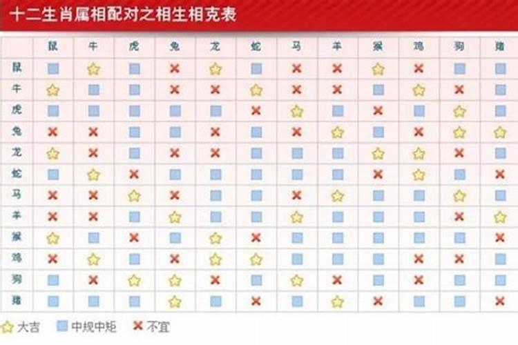 戴重孝是什么意思