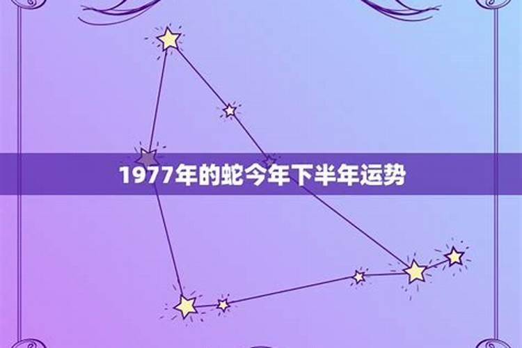 明年什么生肖犯太岁