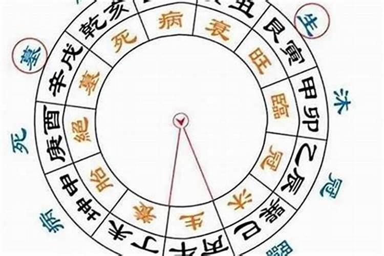八字中的大运是什么意思？