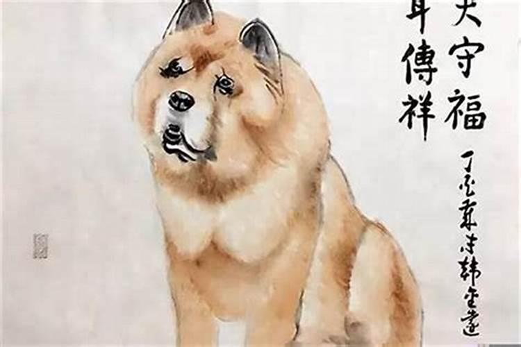 1982年闰4月属狗人的命运
