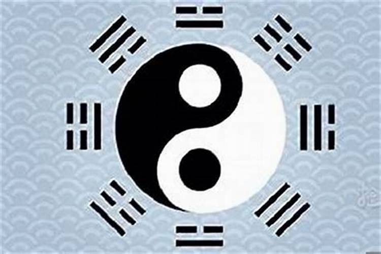 立秋前后种什么蔬菜