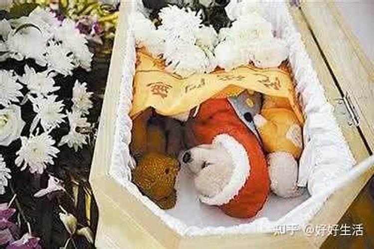 八字怎么看伤官和食神？