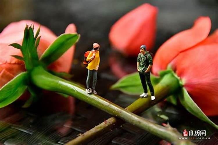 七夕节是提前给礼物还是当天给？