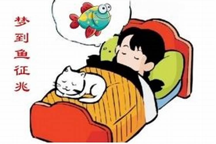 梦见马桶有鱼的预兆