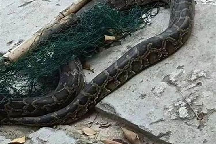 梦见灵堂和死人是什么意思？