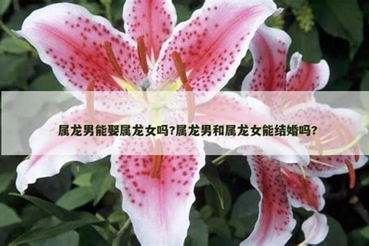 有人说今天是中元节 不适合相亲 是真的吗？