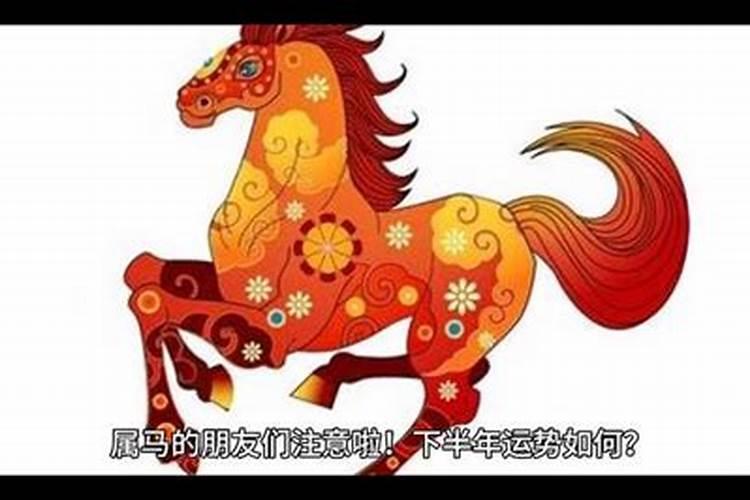 属马今年下半年的命运是什么
