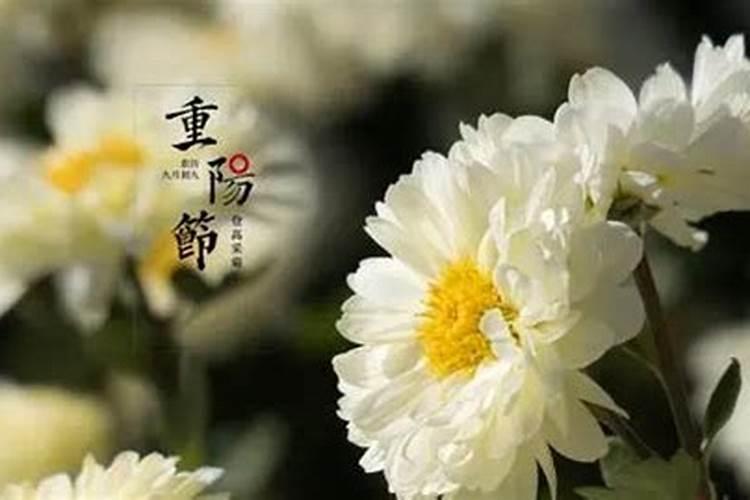 2024年重阳节时间几月几日 重阳节简介
