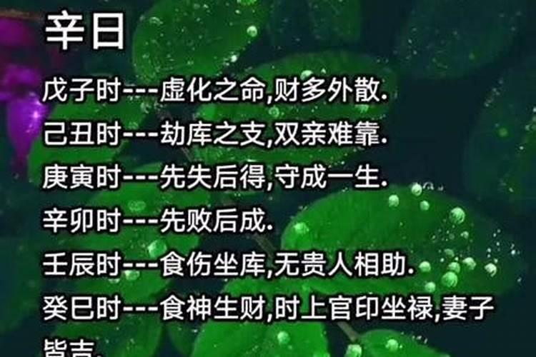 酉时是什么意思