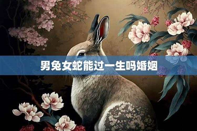 八零猴2025年下半年运势