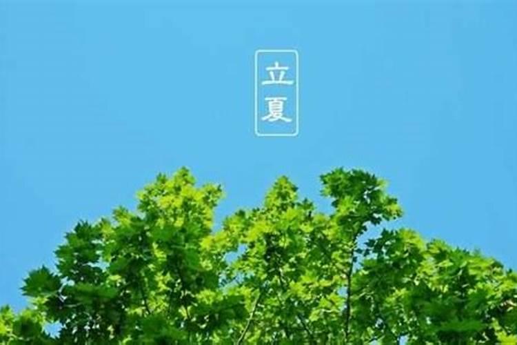 淄博正月十五哪里有灯会