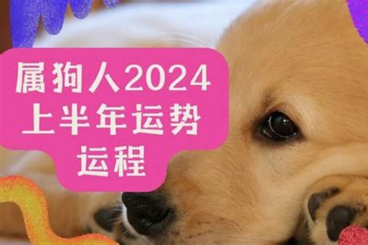 属马的戴什么项链比较好,属马犯太岁不能戴什么生肖项链？