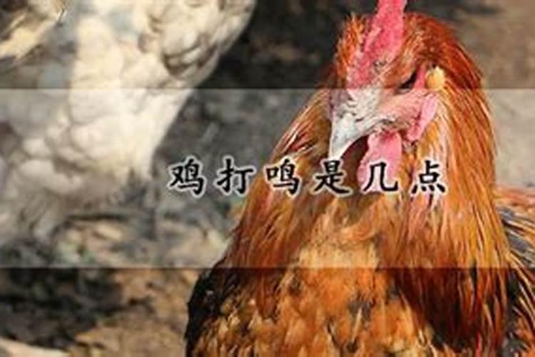1978年属马人在2025年的运势