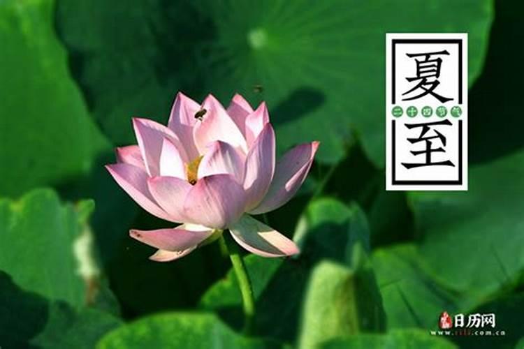 孔子的生肖？