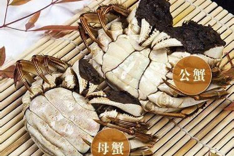 属鼠农历九月出生的人命运好不好？