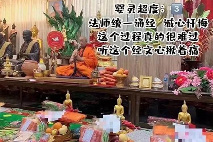 梦见一只大狗扑向我但没咬着我