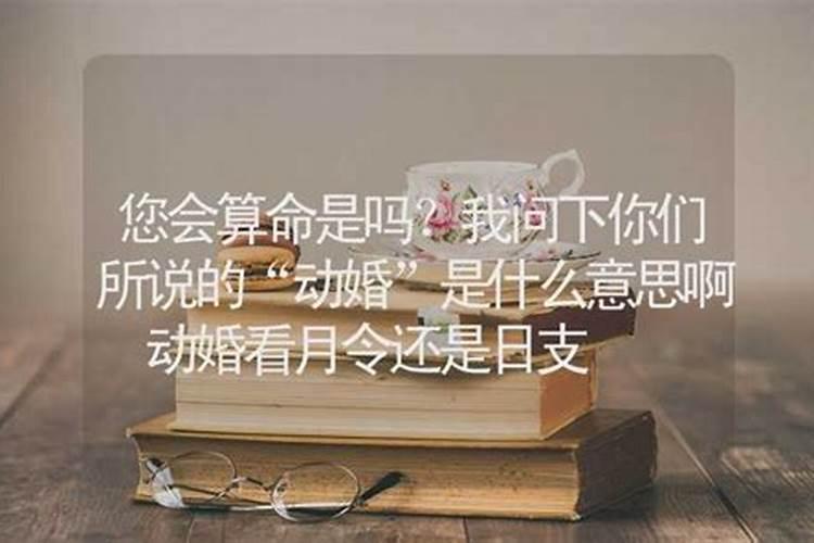 算命动婚姻是什么意思？
