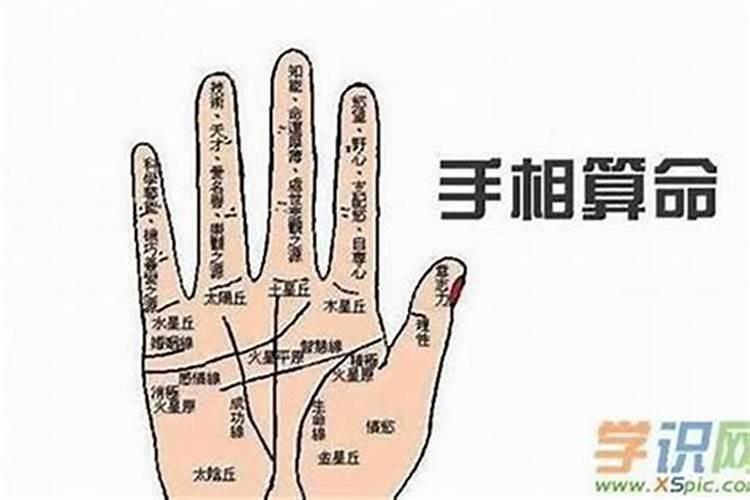 女人有异性贵人的手相,有什么特征