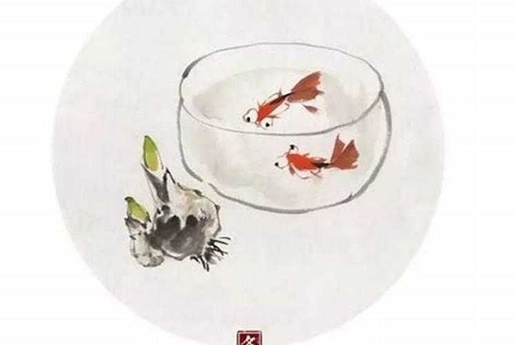 冬至起九是什么意思 九九消寒待春来？