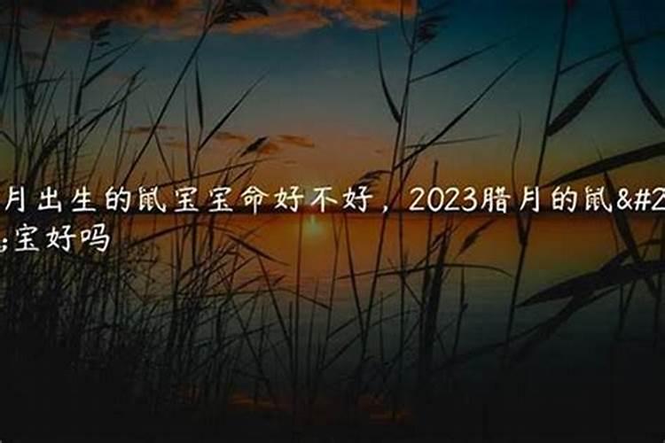 金牛男千万别找双子女双子和金牛谁虐谁