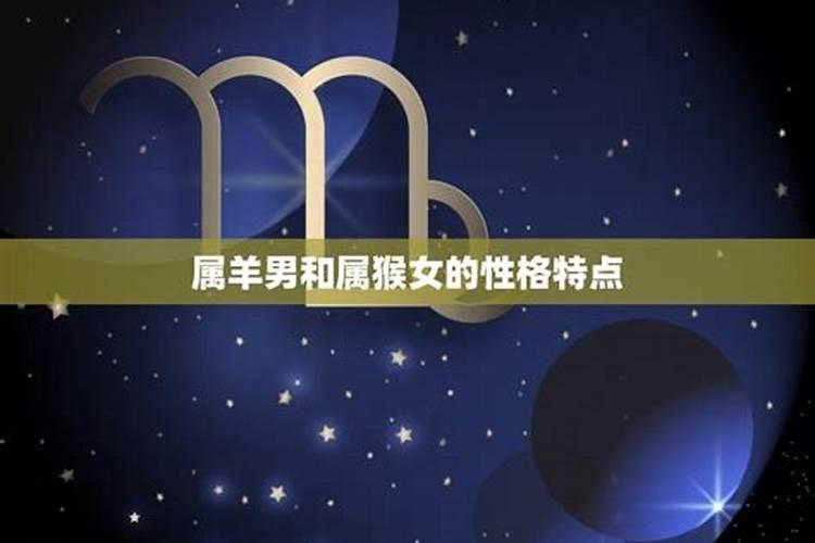 属羊和属兔的合不合