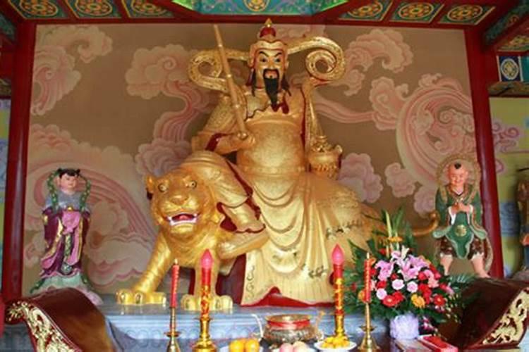 属马今年什么太岁,属马的几月出生最命苦