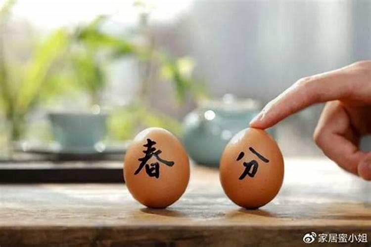 立春立蛋有什么讲究