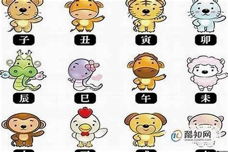十二属相哪个属相命最好