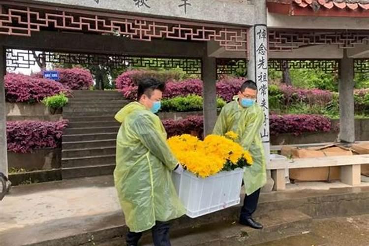 梦见后院的预兆