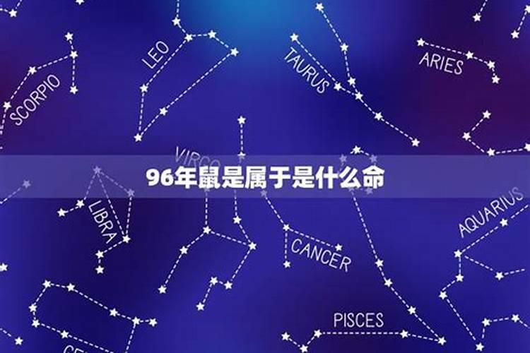 96年女孩正月初二属鼠的命运好吗