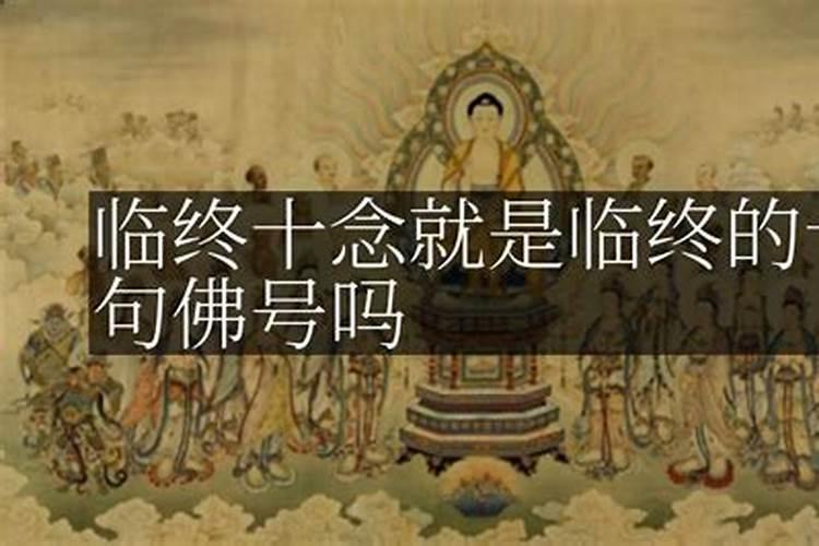 平常有空就念佛号然后每天回向给自己坠胎的孩子有用吗？因为是有空时...