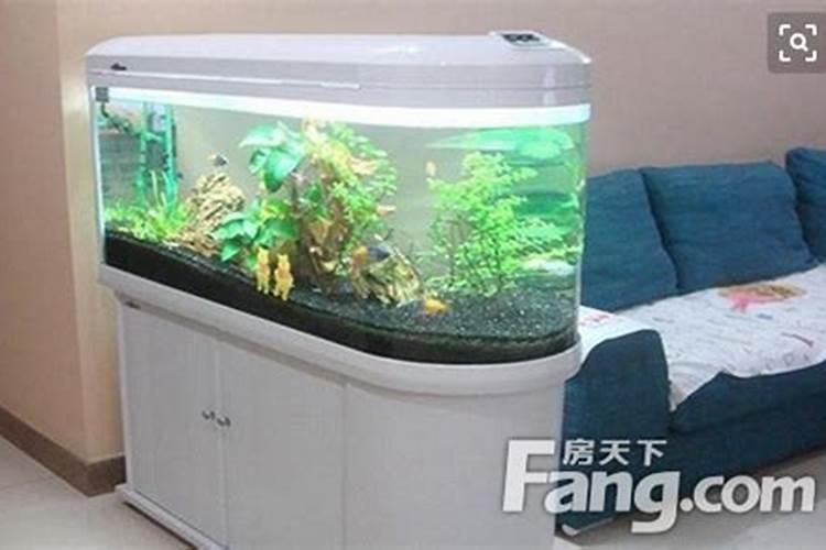 梦见吃土豆是什么意思 周公解梦